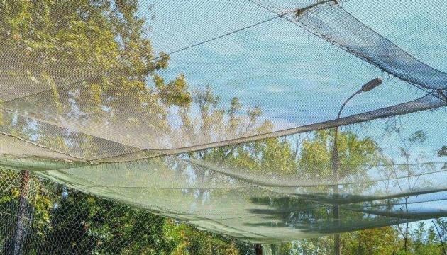 У передміських районах Херсона сильний вітер завдав шкоди конструкціям, що захищають від безпілотників.