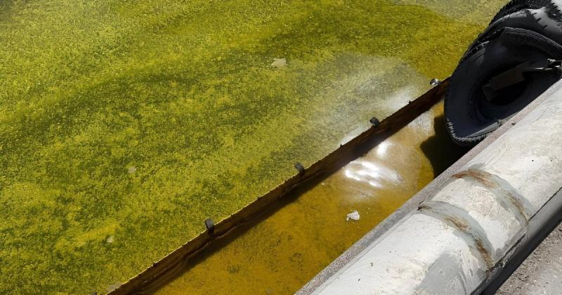 У порті Чорноморськ спеціалізовані судна займаються усуненням розливу олії, що стався внаслідок обстрілу, повідомляє АМПУ.